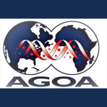 USFIA Testifies at AGOA Hearing